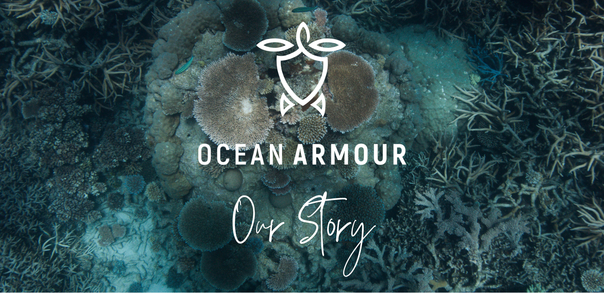 Introducing Ocean Armour - Our Story of creating our Adult changing ponchos & sand-free beach towels